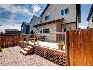 Photo 44: 151 COPPERPOND Square SE in Calgary: Copperfield House for sale : MLS®# C4074409