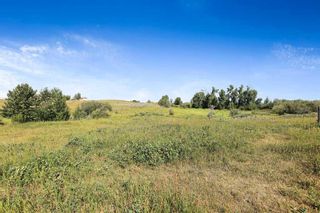 Photo 25: 64235 266 Avenue E: Rural Foothills County Detached for sale : MLS®# A2115157