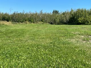 Photo 4: 50 Elie Street in Elie: Vacant Land for sale : MLS®# 202221270