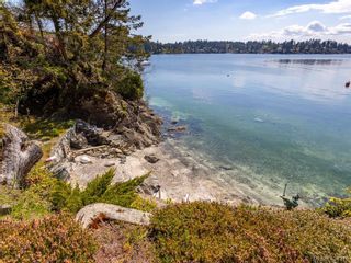 Photo 31: 11424 Chalet Rd in NORTH SAANICH: NS Deep Cove House for sale (North Saanich)  : MLS®# 838006