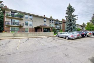 Photo 34: 213 860 Midridge Drive SE in Calgary: Midnapore Apartment for sale : MLS®# A1241249