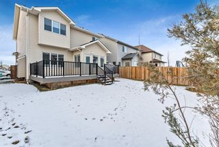 Photo 44: 11 Baywater Court SW: Airdrie Detached for sale : MLS®# A1055709