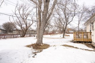 Photo 3: Windsor Park Bungalow: House for sale (Winnipeg) 