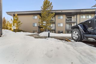 Photo 17: 217 6108 53 Street: Olds Apartment for sale : MLS®# A2017875