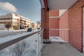 Photo 43: 104 825 Mcdougall Road NE in Calgary: Bridgeland/Riverside Apartment for sale : MLS®# A2014356