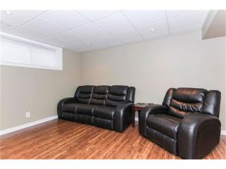 Photo 36: 230 CRANBERRY Close SE in Calgary: Cranston House for sale : MLS®# C4063122
