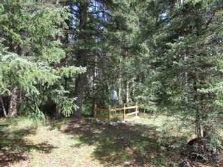 Photo 12: 108 32433 Range Road 61: Rural Mountain View County Residential Land for sale : MLS®# A1254404