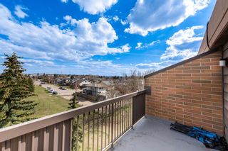 Photo 25: 503 30 Mchugh Court NE in Calgary: Mayland Heights Apartment for sale : MLS®# A2107366