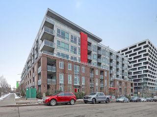 Photo 29: 216 88 9 Street NE in Calgary: Bridgeland/Riverside Apartment for sale : MLS®# A2128375