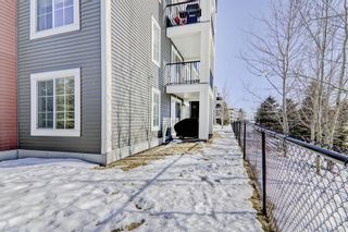 Photo 19: 4109 99 Copperstone Park SE in Calgary: Copperfield Apartment for sale : MLS®# A2034723