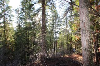 Photo 10: Lot 22 Vickers Trail: Anglemont Vacant Land for sale (North Shuswap)  : MLS®# 10243424