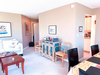 Photo 4: 218 456 MOBERLY Road in Vancouver: False Creek Condo for sale (Vancouver West)  : MLS®# R2794913