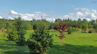 Photo 5: 2202 Scotsburn Road in Scotsburn: 108-Rural Pictou County Residential for sale (Northern Region)  : MLS®# 202303575