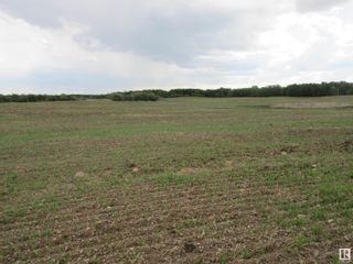 Photo 7: Twp Rd 612 RR 223: Rural Thorhild County Vacant Lot/Land for sale : MLS®# E4318876