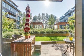 Photo 12: 105 262 SALTER Street in New Westminster: Queensborough Condo for sale : MLS®# R2155950