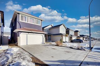 Photo 1: 8461 Saddleridge Drive NE in Calgary: Saddle Ridge Detached for sale : MLS®# A2026453