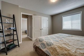 Photo 29: 462 WILLIAMSTOWN Green NW: Airdrie Detached for sale : MLS®# C4264468