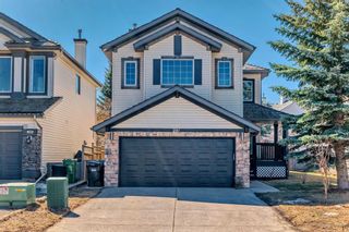 Main Photo: 291 Chaparral Drive SE in Calgary: Chaparral Detached for sale : MLS®# A2123373