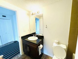 Photo 12: 317 7110 80 Avenue NE in Calgary: Saddle Ridge Apartment for sale : MLS®# A2081695