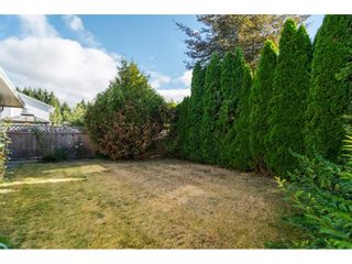 Photo 20: 8536 120A Street in Surrey: Queen Mary Park Surrey House for sale : MLS®# R2200063