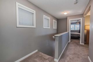 Photo 19: 42 Redstone Manor NE in Calgary: Redstone Detached for sale : MLS®# A2094998