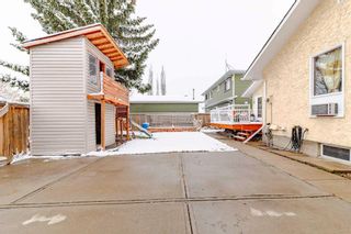 Photo 36: 4720 60 Street NE in Calgary: Temple Detached for sale : MLS®# A2123494