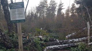 Photo 2: LOT C PID#004-682-998 NO ACCESS in Richmond: Granville Land for sale : MLS®# R2565497