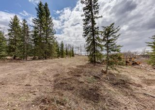 Photo 13: TWP 290 / Winchell Lake Rd: Rural Mountain View County Residential Land for sale : MLS®# A1217315