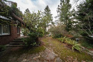 Photo 14: 1212 Craigflower Rd in Esquimalt: Es Kinsmen Park House for sale : MLS®# 920890
