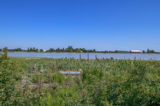 Photo 3: 3995 TRIM Road in Delta: Westham Island Land for sale (Ladner)  : MLS®# R2648092