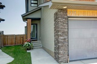Photo 3: 235 Walden Mews SE in Calgary: Walden Detached for sale : MLS®# A1130998