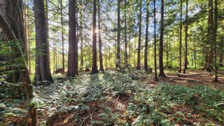 Photo 10: Lot 4 & 5 Inverness Rd in North Saanich: NS Ardmore Land for sale : MLS®# 945901