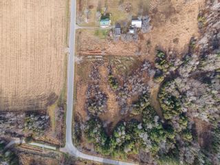 Photo 8:  in Grafton: Land Only for sale : MLS®# 40046274