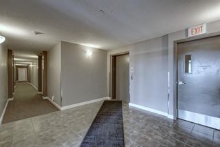 Photo 32: 315 15304 Bannister Road SE in Calgary: Midnapore Apartment for sale : MLS®# A2023559