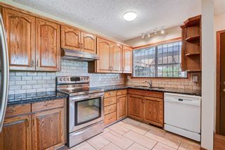 Photo 27: 5415 Trelle Drive NE in Calgary: Thorncliffe Detached for sale : MLS®# A2059548