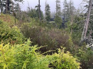 Photo 32: LOT 12 Marine Dr in Ucluelet: PA Ucluelet Land for sale (Port Alberni)  : MLS®# 947210