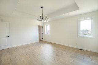 Photo 19: 163 Breckenridge Drive in Niverville: Fifth Avenue Estates Residential for sale (R07)  : MLS®# 202327012