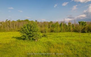 Photo 22: 2494 County Road 5 Road in Prince Edward County: Sophiasburgh Property for sale : MLS®# X7215730