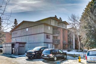 Photo 25: 104B 7301 4A Street SW in Calgary: Kingsland Apartment for sale : MLS®# A2035581