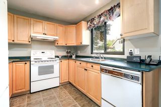 Photo 9: 1057 LOMBARDY Drive in Port Coquitlam: Lincoln Park PQ 1/2 Duplex for sale in "LINCOLN PARK" : MLS®# R2305959