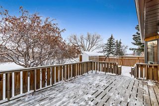 Photo 40: 163 Woodhaven Drive: Okotoks Detached for sale : MLS®# A2014581