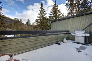Photo 9: 403 410 Buffalo Street: Banff Apartment for sale : MLS®# A2124287