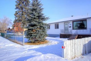 Photo 20: 4632 85 Street NW in Calgary: Bowness Detached for sale : MLS®# C4281221