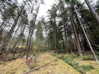 Photo 5: 1805 CAPE Drive: Bowen Island Land for sale in "The Cape on Bowen" : MLS®# R2665278