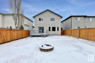 Photo 23: 3730 12 Street in Edmonton: Zone 30 House for sale : MLS®# E4380751
