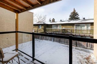 Photo 28: 4 4528 75 Street NW in Calgary: Bowness Row/Townhouse for sale : MLS®# A2112802