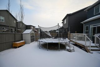 Photo 37: 52 Evansborough Road NW in Calgary: Evanston Detached for sale : MLS®# A2016793