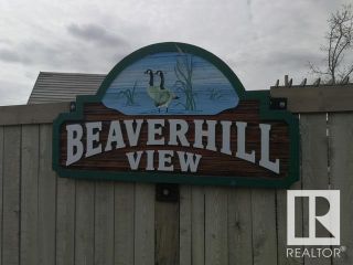 Photo 3: 1 Beaverhill View Crescent: Tofield Vacant Lot/Land for sale : MLS®# E4272720
