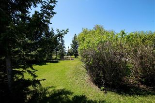 Photo 7: 144235 434 Avenue W: Rural Foothills County Detached for sale : MLS®# C4292301