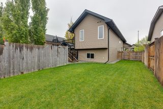 Photo 37: 292 Wiley Crescent: Red Deer Detached for sale : MLS®# A1227728
